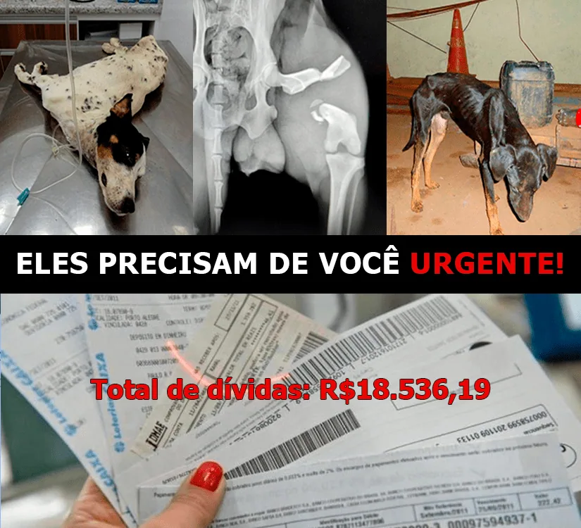 Mosaico de animais resgatados e a frase: Eles precisam de você urgente! Total de dívidas: R$18.536,19
